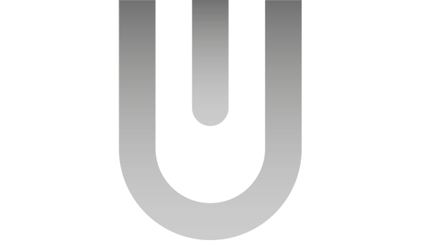 Il Logo Spiegato